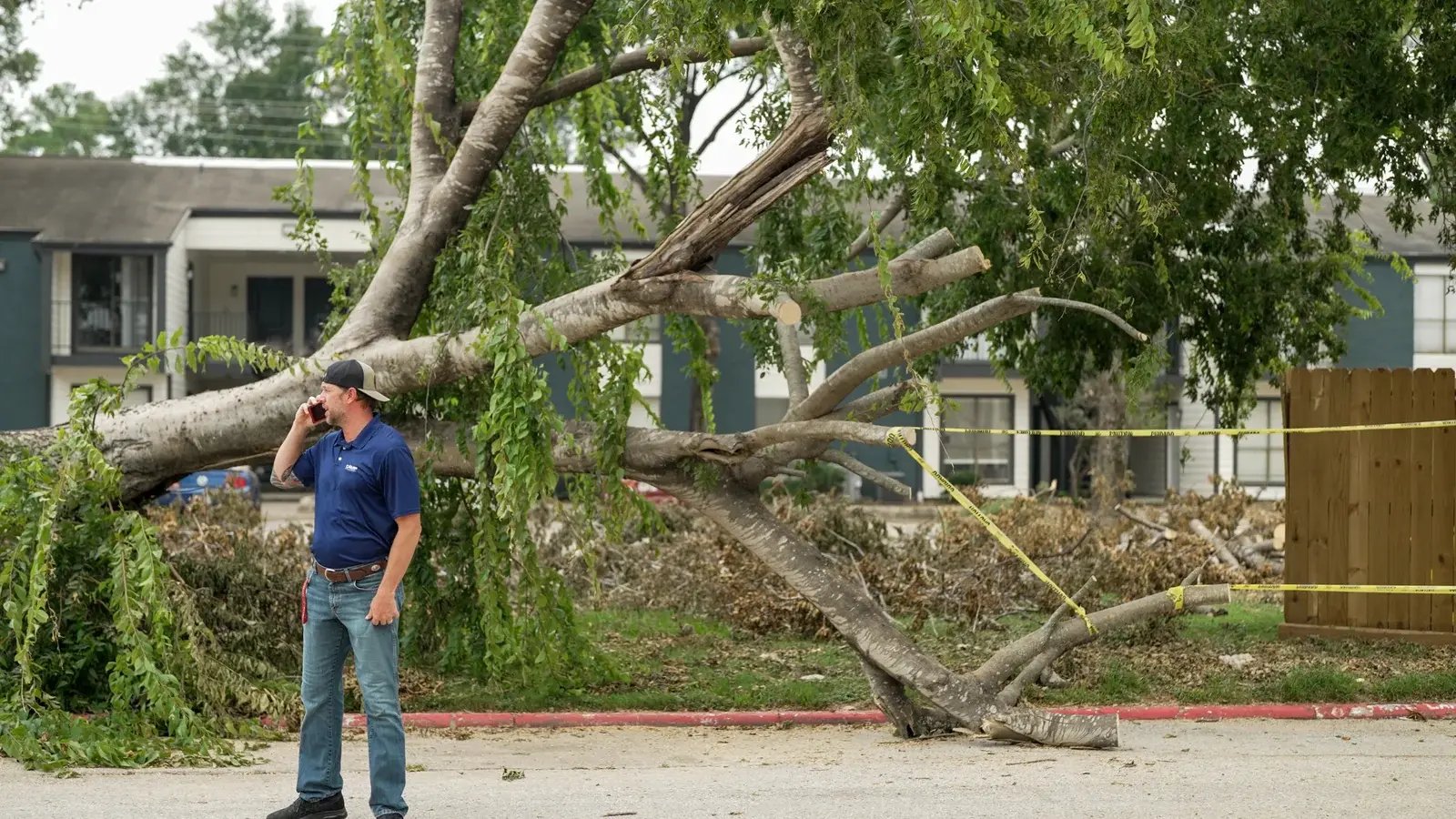 A CAMP team member on the phone beside a large fallen tree and storm debris.