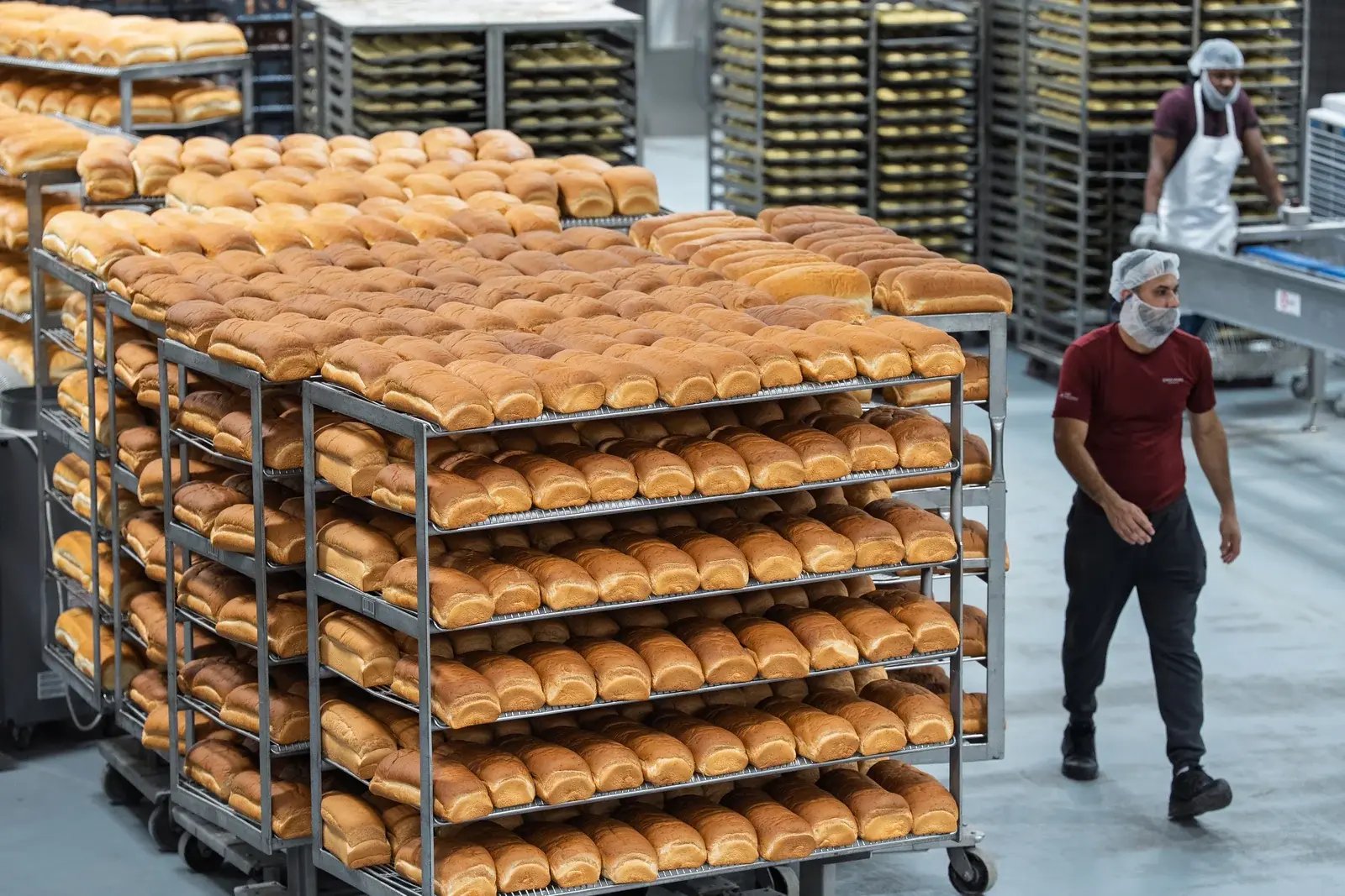 Bakery staff working beside racks filled with bread rolls.