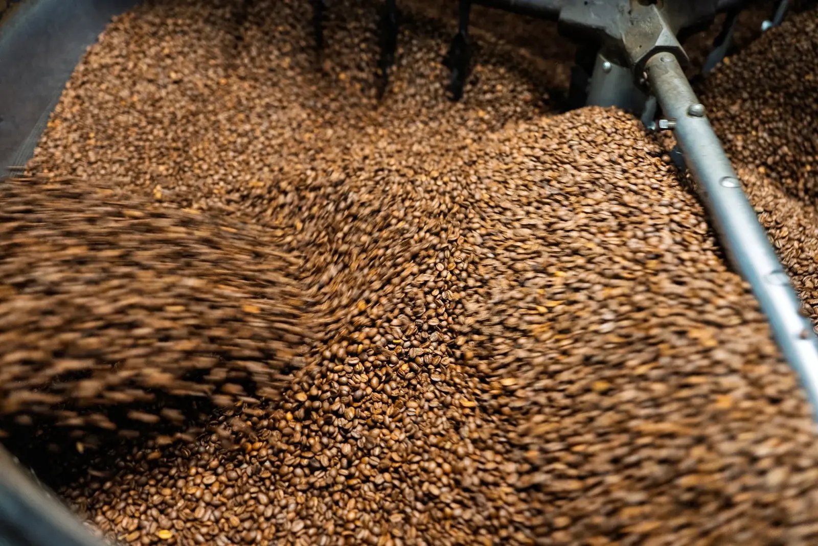 Coffee beans moving through roasting equipment.